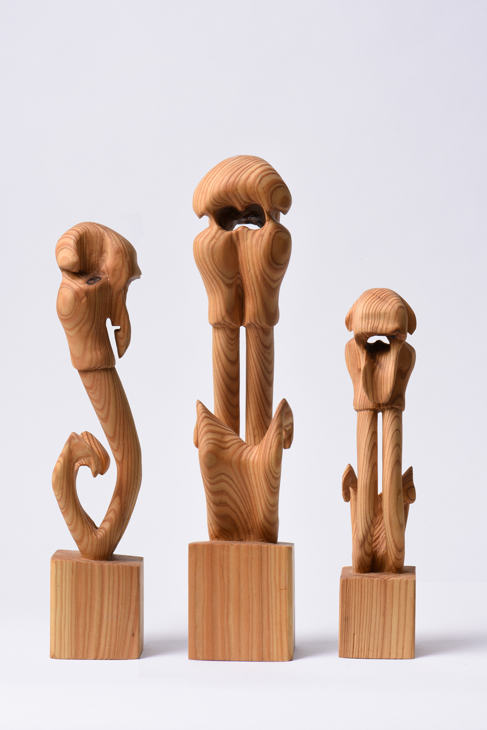 Transmorphic Chess — image 9