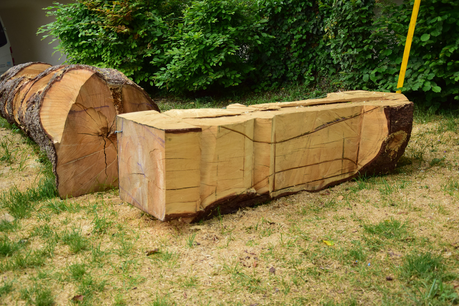 250cm Chess King — image 4